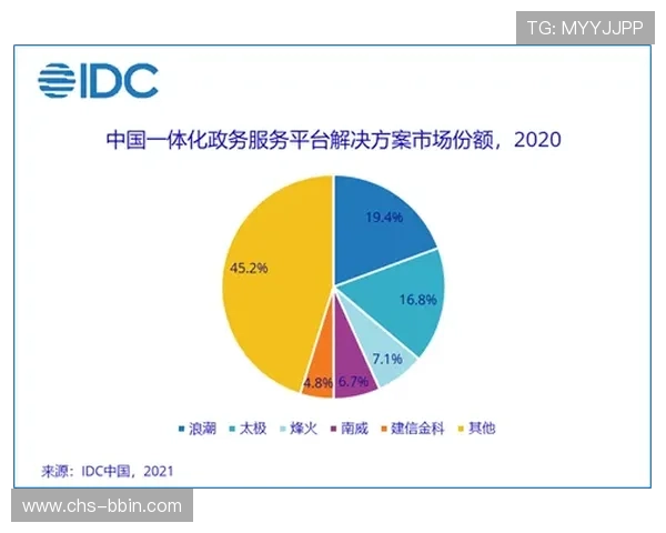 宝盈公司在行业中的竞争优势与市场份额提升策略